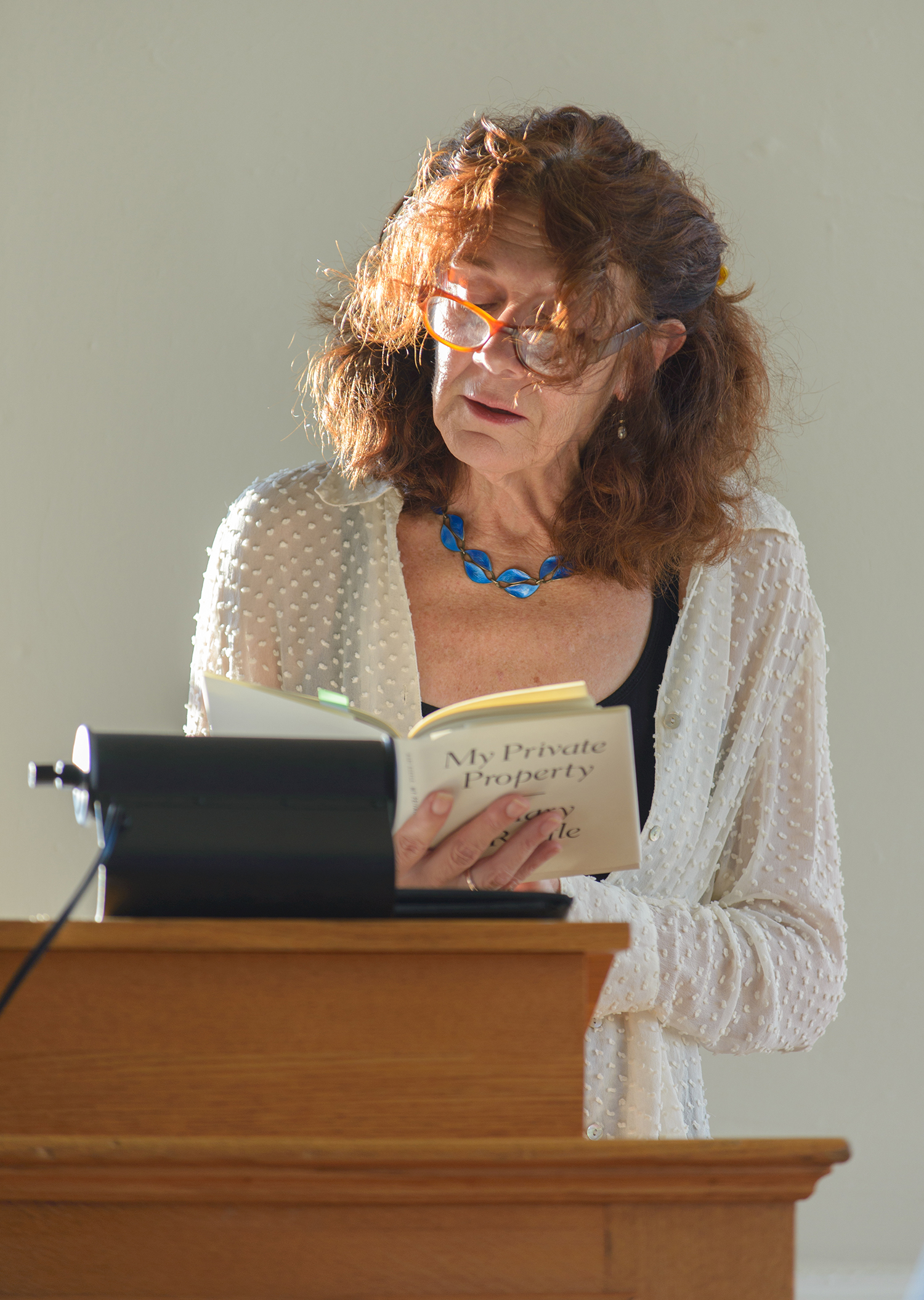 My private property mary ruefle picture